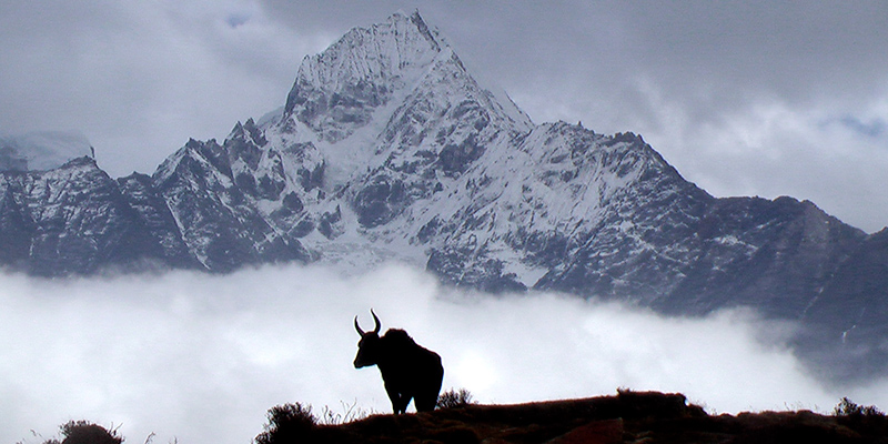 Nepal Points of Interest