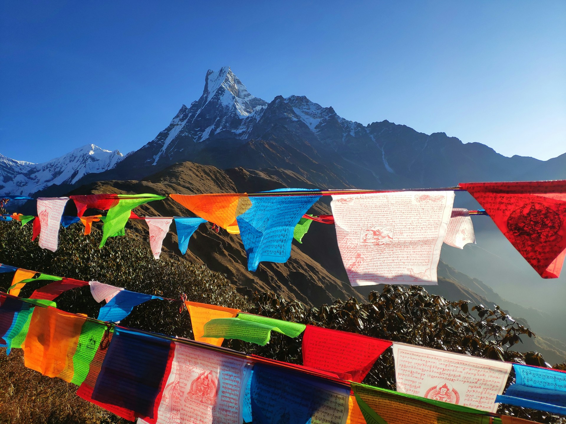 Best Time for Tours in Nepal