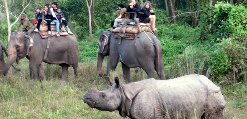 Best of Wildlife and Nature Nepal Tour