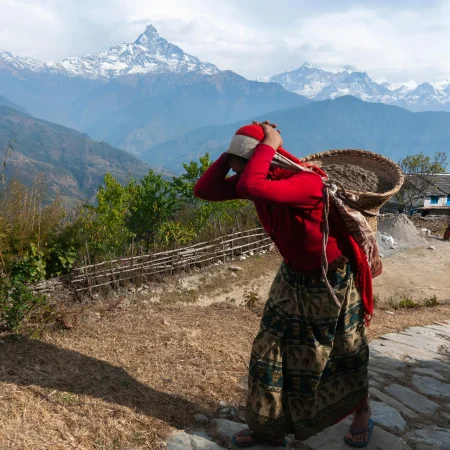dhampus trek