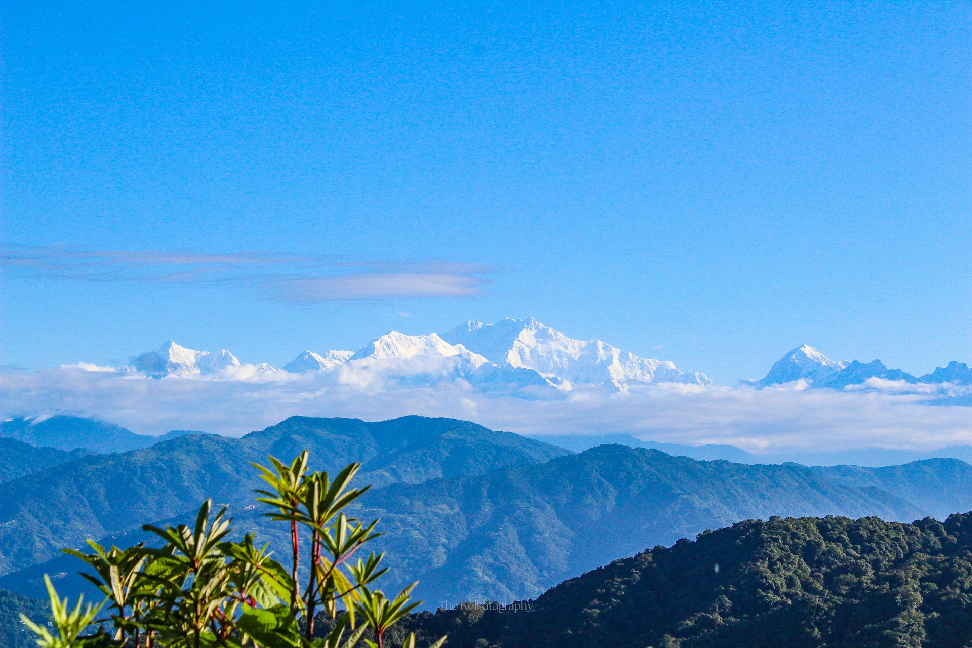 Kanchenjunga Base Camp Trek