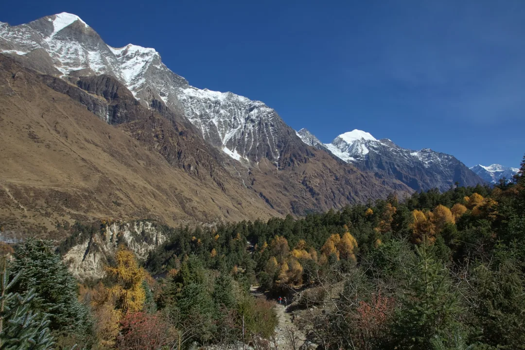 Manasalu Circuit Trek in Nepal