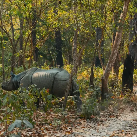 Nepal Highlights Tour