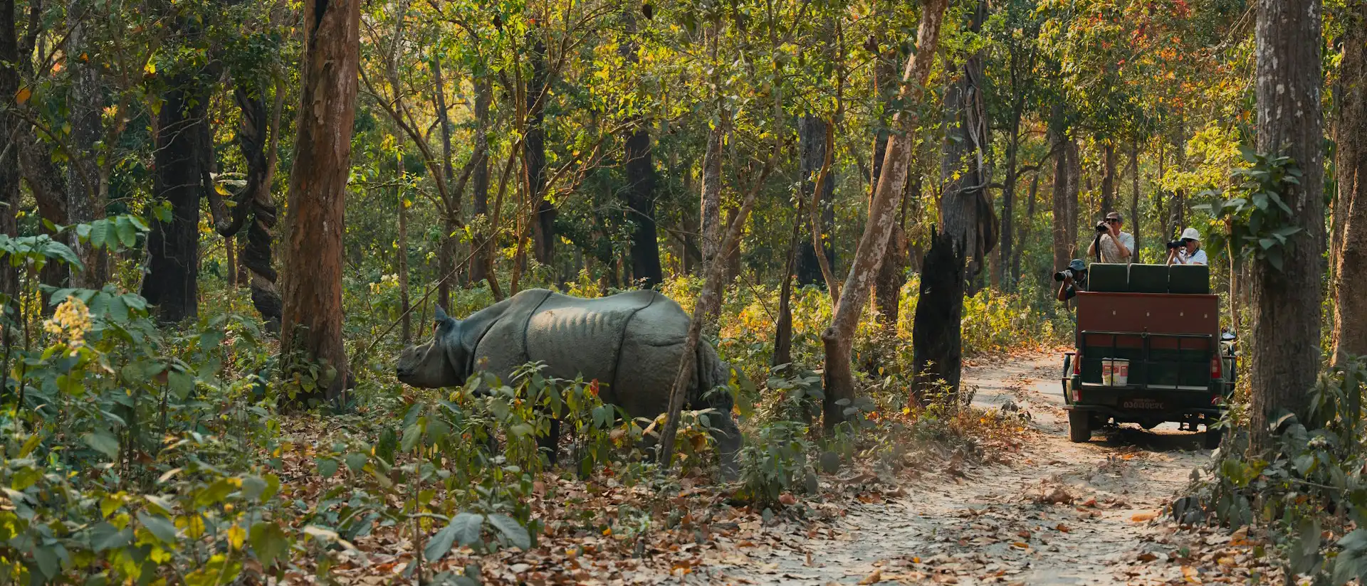 8 days Nepal Highlights Tour with Jeep Safari