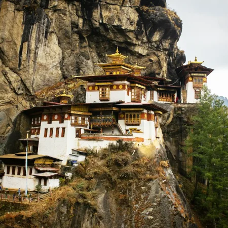 Jomolhari Trekking