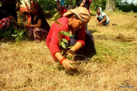 sustainable tours