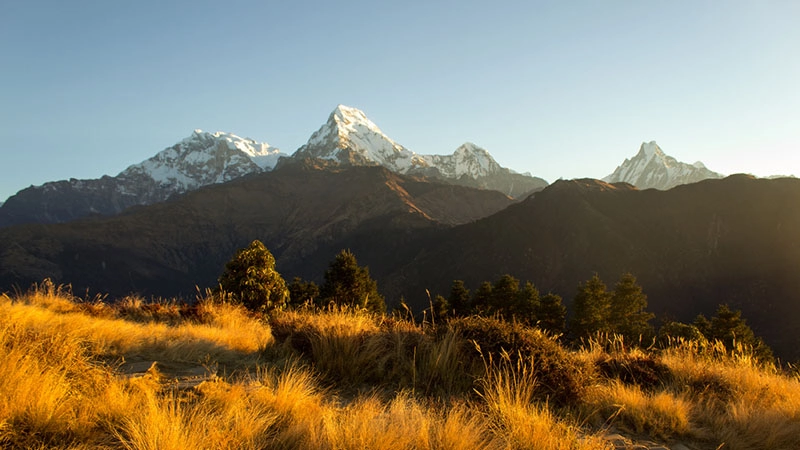 Best time for Ghorepani Poon Hill Trek