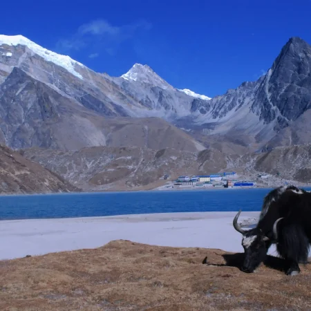 Gokyo Lakes Trek
