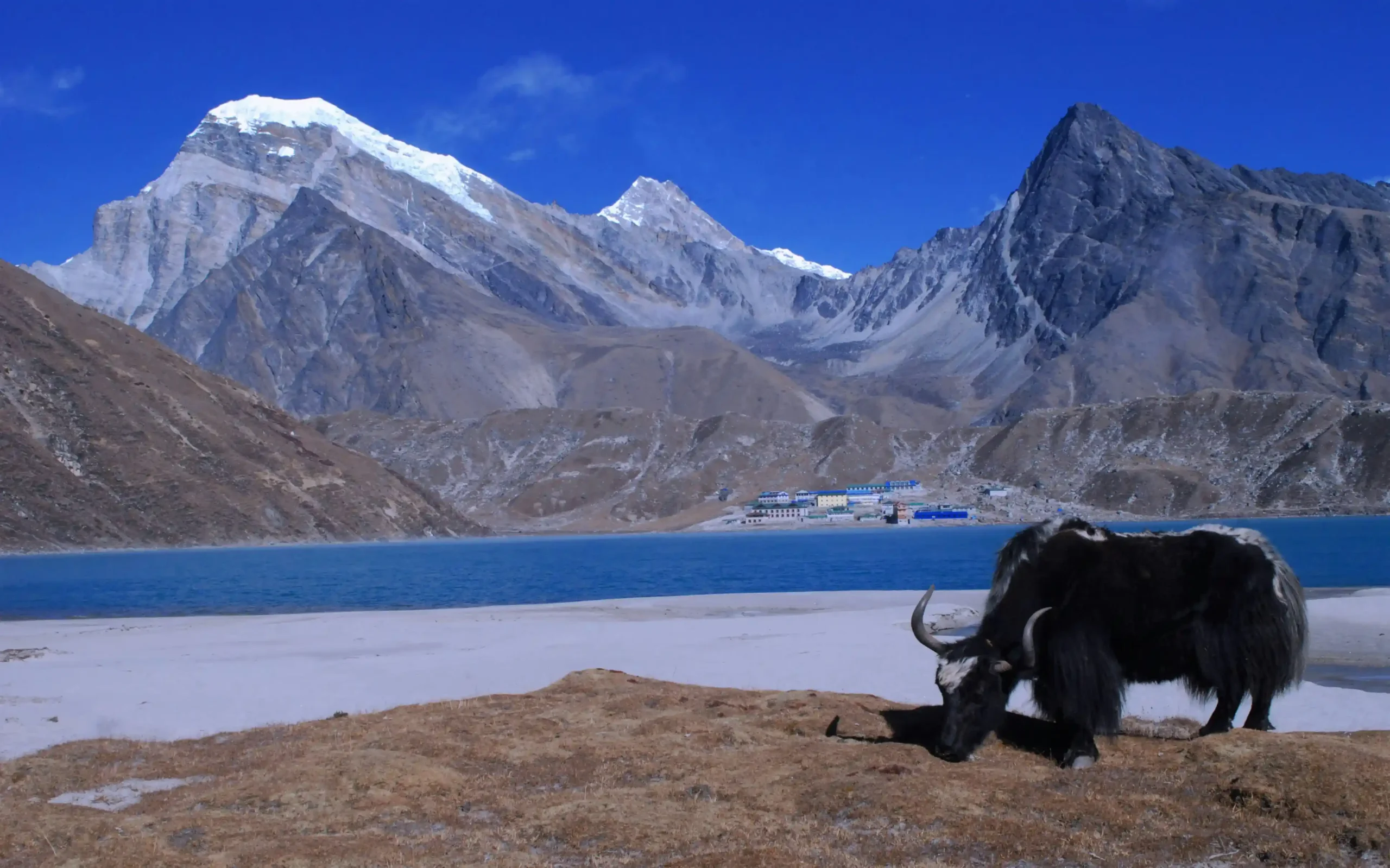 Gokyo Lake Trek – 16 Days