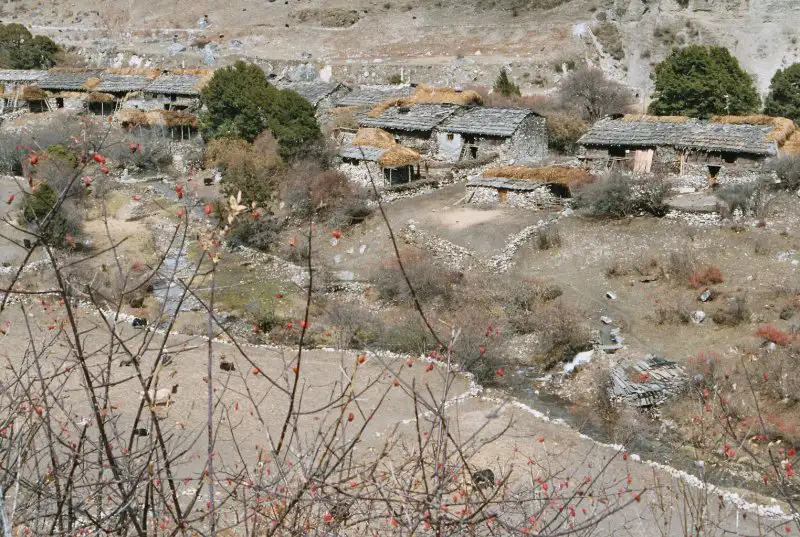 Manaslu Circuit Trek