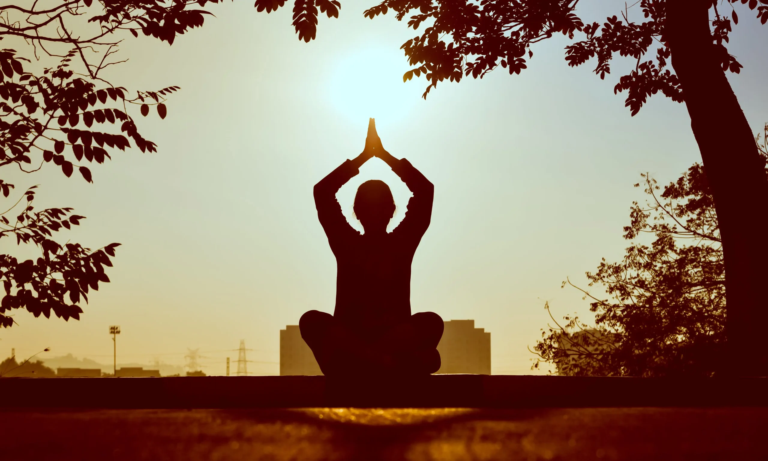 Wellness in Nepal Meditation