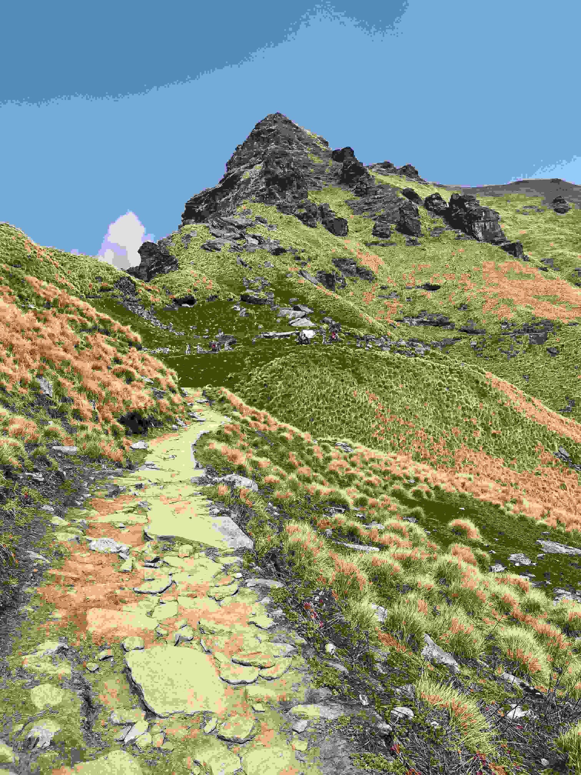 Upper trail and ridge conditions on Mardi Himal Trek